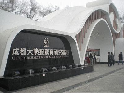 今月25日は、成都ジャイアントパンダ繁育研究拠点の無料開放日 zca6b4f7a584219b05f9d3023c8fffcbe 今月25日は、成都ジャイアントパンダ繁育研究拠点の無料開放日