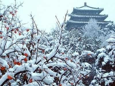 冬季五輪開催に向け交通機関整備進む 張家口市が「首都一時間生活圈」内に zd40c11bf274df1c3d9e74d4c208b8c10 冬季五輪開催に向け交通機関整備進む 張家口市が「首都一時間生活圈」内に