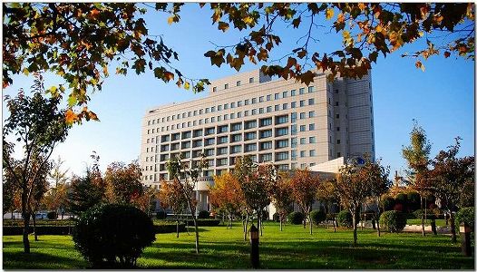 チャーター機と専用列車で一斉に帰省する東北財経大の学生たち z0dc4ce39ee5bcdbfbd49848da655393e チャーター機と専用列車で一斉に帰省する東北財経大の学生たち