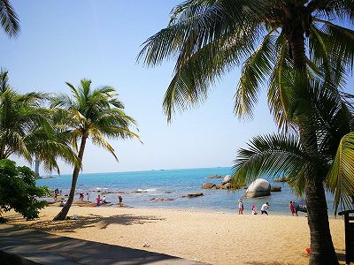 穏やかな気候と免税で春節の人気目的地となった海南省 z39d63fc65dbc505a1db2254e193e0814 穏やかな気候と免税で春節の人気目的地となった海南省