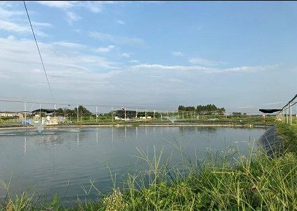 zaef80abd2dd227b95cd0efc54e0c4c0d ゴミが宝に変身？3人の若者が廃棄タイヤで作り上げた作品が話題に