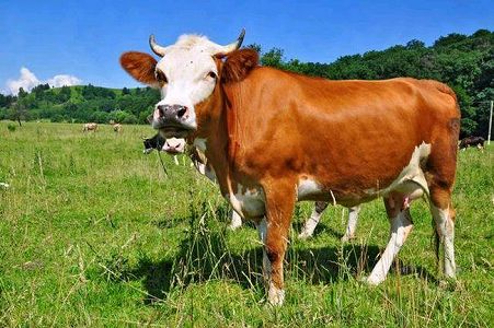 z61f69e100f2dfbe4366501c170d5f33c 2021年春晩の注目点は？　戦「疫」の記憶や宇宙からの朗報など