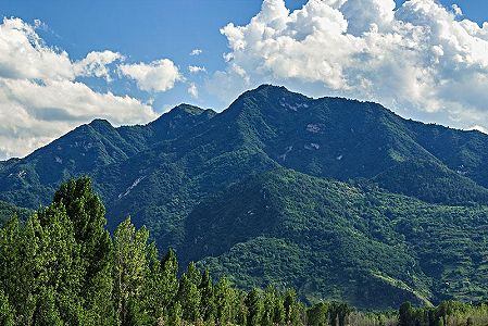 z6227d6deb029c42c2354a12ee57034ec 秦嶺山脈で約30年ぶりにオナガゴーラルを確認