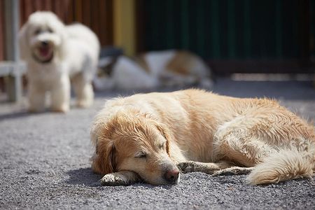 zd72ef72460e35827ff79fc75d5d37129 左向きで寝ると本当に健康に悪い？