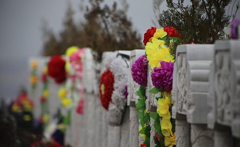 z7485d7b0dd94da231a70bf7a6ac5d711 清明節、各地でのべ約3千万人以上が墓参り