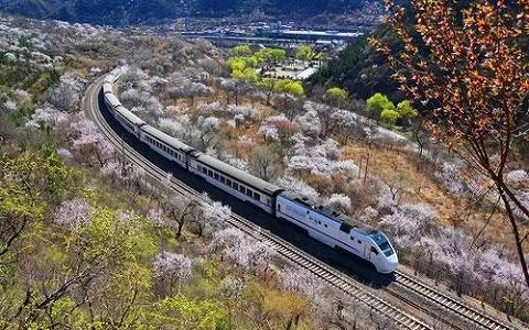 居庸関の花の海桟道から眺める最も美しい高速鉄道 北京市 z96c5c2a8719b2fe8974ed7cb70536061 居庸関の花の海桟道から眺める最も美しい高速鉄道 北京市