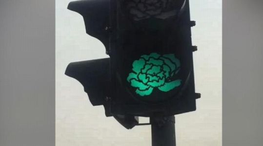 zf57f62d9fd16f81149228016ec848f09 河南省洛陽市の信号機が牡丹の花模様に