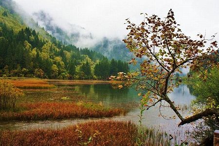 z44c6444b9579f1167ac75ecd87c7667e 障害者の「バリアフリー観光」をサポート　安徽省亳州の景勝地