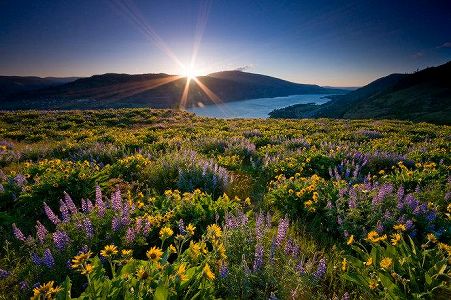 2021年中国留学白書発表 コロナ禍で進学計画が多様化 z80e2c2a65e5a239dbb40c217caf04286 2021年中国留学白書発表 コロナ禍で進学計画が多様化