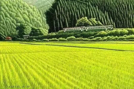 z15aad956fe802b64d8e200a92c2e7889 今日は二十四節気の「芒種」　夏が本格スタート