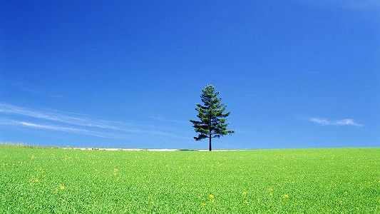 z8e0896636b0a4fca5560f80eb9e84ffb 北京市、今週前半は気温が低く、後半は最高気温34度の予想