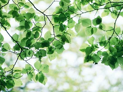 習近平総書記が「七一勲章」を授与し、重要談話を発表へ z9dccd45ee6bfbd5e9bf52fa9354d6888 習近平総書記が「七一勲章」を授与し、重要談話を発表へ