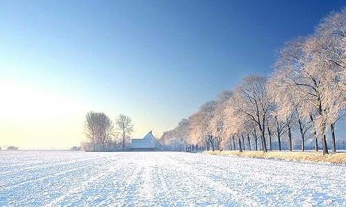 北京冬季五輪、選手用のスマートベッドが生産開始 zb6cb8b7b823972e4eb346e15886b4ee0 北京冬季五輪、選手用のスマートベッドが生産開始