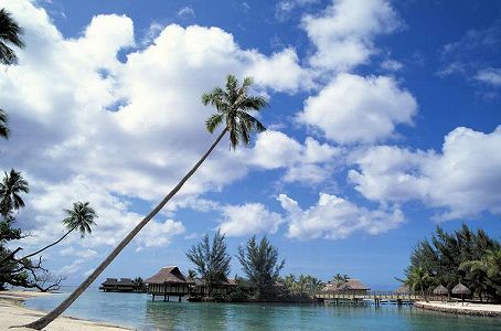 海南省の離島免税新政策実施から1年 売上高約8050億円 z7292a319ae707d79e5a8d526426a3eb7 海南省の離島免税新政策実施から1年 売上高約8050億円