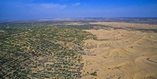 z8e45b20164b56efe66ec913b793aebe8 砂漠で30年植樹を続けてきた「七一勲章」受章者・石光銀さん