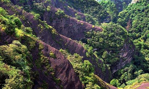 z9c5d805f1068bbe110bb243fa58d3f06 江西省で「森の妖精」ヤイロチョウの撮影に成功！