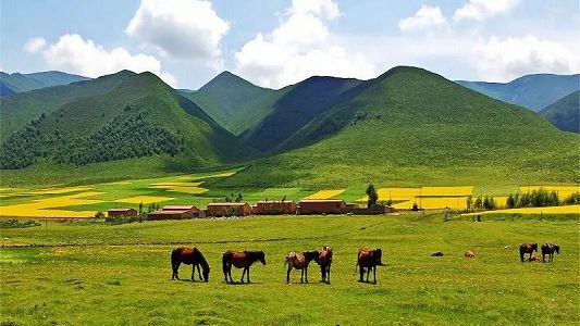 地元に「福利」をもたらす青海省ならではの特色あるグルメ 青海省西寧市 zc5f4d749b0f18d9c233a052d4ce909ba 地元に「福利」をもたらす青海省ならではの特色あるグルメ 青海省西寧市