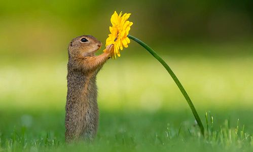 zd299706259ea9bd198f5c07b7ce93689 中国の新型コロナワクチン接種回数が15億回突破