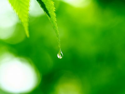 東京五輪閉幕 中国の獲得メダル数、金38銀32銅18 z1faeb02a8614bc01176ae4c3cfd11898 東京五輪閉幕 中国の獲得メダル数、金38銀32銅18