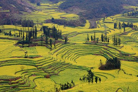 雲南省の紅河ハニ棚田は自然を巧みに利用した巨大な循環システム z6e7b479d76236e296349d07eaab33a17 雲南省の紅河ハニ棚田は自然を巧みに利用した巨大な循環システム