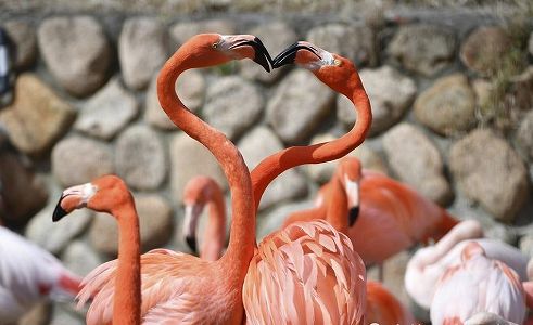 zb5279d3a4d2f12d460966e4e0961fc91 ウルムチの歩行者天国に「ハート形」信号が登場　新疆維吾爾自治区