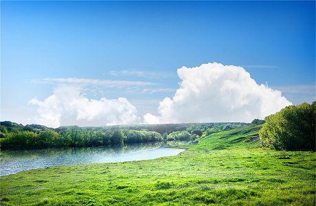 王毅部長「米情報機関の『ウイルス起源解明』調査報告書に断固反対」 zde8c3dd2c39ddd154f7fd2bd1a8ae826 王毅部長「米情報機関の『ウイルス起源解明』調査報告書に断固反対」