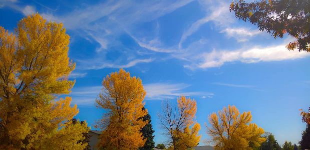 8月19日は「三伏」最終日で夏も終わり、でも「秋の虎」に要注意 zfcb63d2ceeb63791fcb0ae83c0fcc88e 8月19日は「三伏」最終日で夏も終わり、でも「秋の虎」に要注意