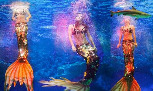 zff4d990c073ab2d396274fe093183b7b 人気のマーメイドスイムを見に行ってみた！　重慶市　美しいだけではなくダイエット効果も