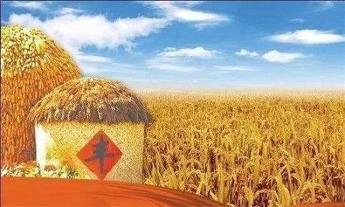 z6de40ebfffcbbd4584f63f18694c75bd 「中国農民豊作節」 多彩な色で味わう収穫の秋