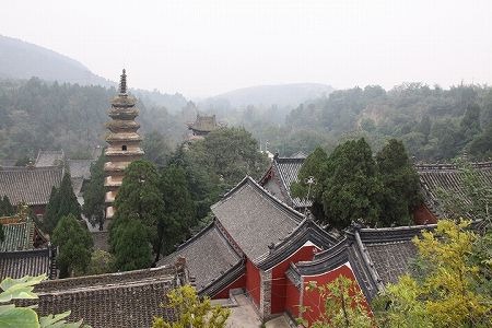 z6e9bf3eeca3976d22c7e611a8e58695e 200万年前の象の腰骨化石見つかる　河南省汝州市