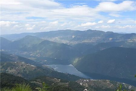 樹齢500年の野生のウンナンコウトウスギ発見 雲南省 za5158f2606a79af378805876153031f5 樹齢500年の野生のウンナンコウトウスギ発見 雲南省