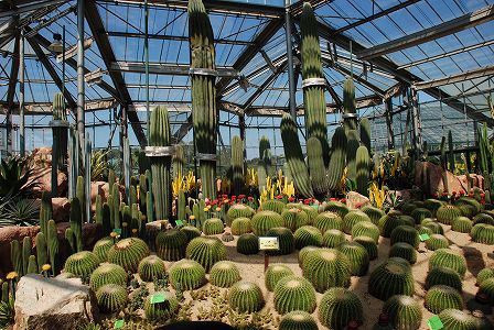 植物多様性の保護、移植による保護と現地での保護はどう行うべき? zcad57dc546b926ab6f5545cf7c543b5e 植物多様性の保護、移植による保護と現地での保護はどう行うべき?