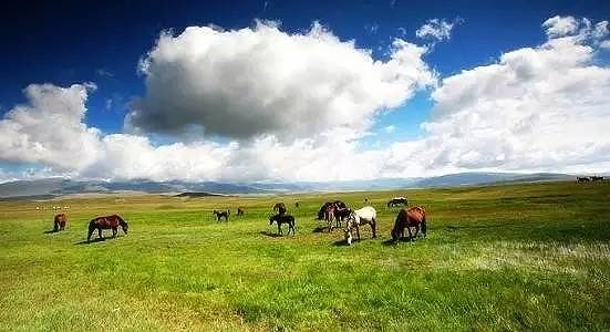 秋深まりハダカムギの収穫が始まる 西蔵自治区 zf23e6fae79442f557d887fb208dd6a34 秋深まりハダカムギの収穫が始まる 西蔵自治区