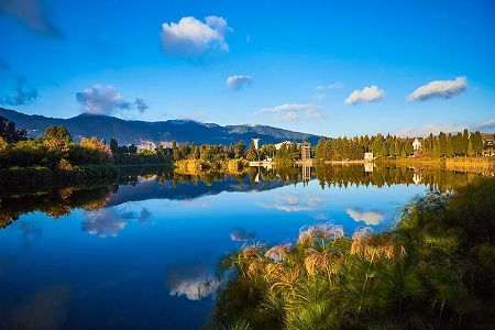 z4c94efb69466dc3564e19abe23fc9b67 セイケイの群れが昆明のdian池流域で確認　雲南省