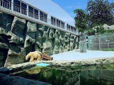 zd676637ebe7c57625052f003e37b0817 北京動物園に無人販売カーが登場！