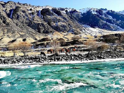 z4cb076ba57587e986e7aca8506286f67 家畜の冬の大移動始まる　新疆維吾爾自治区