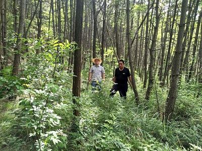 黒竜江哈爾浜市で7年ぶりにアムールトラの足跡確認 z7fbca7beb3c75dcf02f50f2489d87789 黒竜江哈爾浜市で7年ぶりにアムールトラの足跡確認