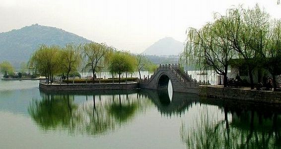 zbbad1f60a3f533832c221667b53485d8 山東省で世界最古の茶葉遺物が発見