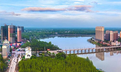 zc43a21527c00fe2679cb8ad5b9883fe7 サツマイモだけで作る伝統的な春雨ヌードル製造で農家の生活豊かに