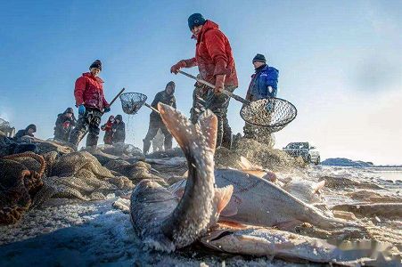 zd90c29af19efaaf5c7b82bf1f14f11f1 「冬捕」シーズン迎えた査干湖　吉林省