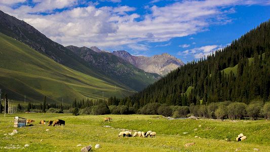 z65a815325ec665f6a93a9b9dcce1dd3c 人助けの後に党の徽章を示した新疆維吾爾自治区新疆の牧畜民