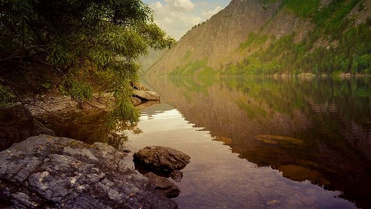 北京冬季五輪の医療専門家「バブル内の感染の形跡はなし」 z2cd1494c8f0c91545d798d87976a2bcd 北京冬季五輪の医療専門家「バブル内の感染の形跡はなし」