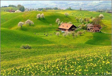 z2b18a2c143666d56c3fe31378568c2d2 中医薬がコロナ治療で大活躍、3日で96％の患者の熱が下がる