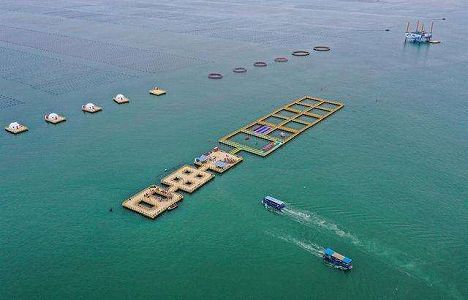 z6d79d62e4b084b90bd7e4771e73d6a47 海洋牧場で春の「耕作」　山東省栄成市