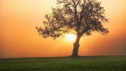 ウクライナから退避する留学生の第1陣がキエフからモルドバへ出発 zeee20c524c2dc89c9fab3f1921476a97 ウクライナから退避する留学生の第1陣がキエフからモルドバへ出発