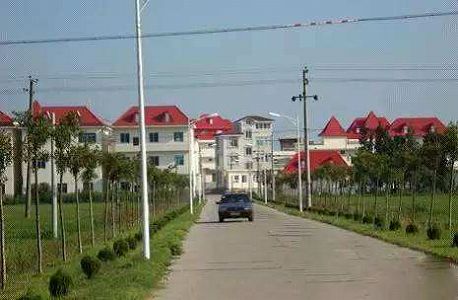 コウノトリとの共存目指す江西省の送電鉄塔 z151456e35ba1f10d1503d17c13ce5b36 コウノトリとの共存目指す江西省の送電鉄塔