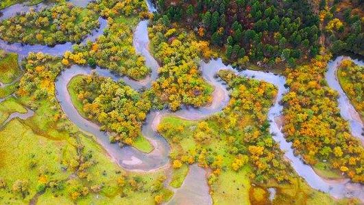 今年、チベット高原、黄河・長江流域など一連の国家公園設立へ z3891335cef2cd072044d45840199eb12 今年、チベット高原、黄河・長江流域など一連の国家公園設立へ