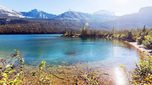 武漢大学、20分で結果が出るPCR検査法を開発 z51eb662d5596eb507c060846299ecd63 武漢大学、20分で結果が出るPCR検査法を開発