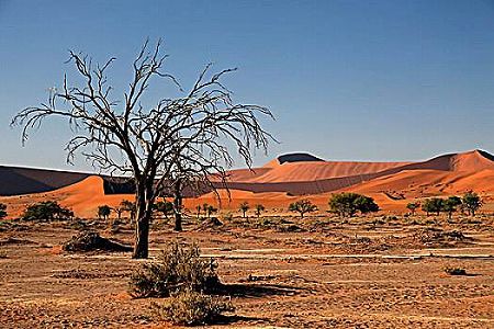 ナミビアで中国支援の小学校増改築プロジェクトが着工 z60b3d11e2d8c115a5f863ab04fa379ce ナミビアで中国支援の小学校増改築プロジェクトが着工