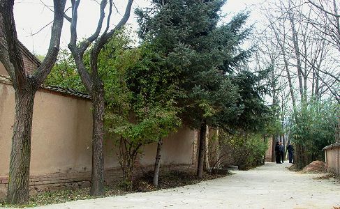 z721b8f5761f23a6797c7182a0cf40844 チャルメラ吹いて67年　河北省の「チャルメラおじさん」